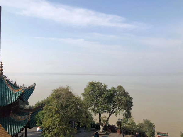 深圳醫(yī)療糾紛知名律師來(lái)講講甲狀腺手術(shù)醫(yī)療事故賠償?shù)姆砂咐头煞ㄒ?guī)分析