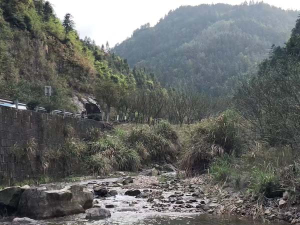 水電站說拆就拆？看深圳專業拆遷律師如何在法庭雄辯維權