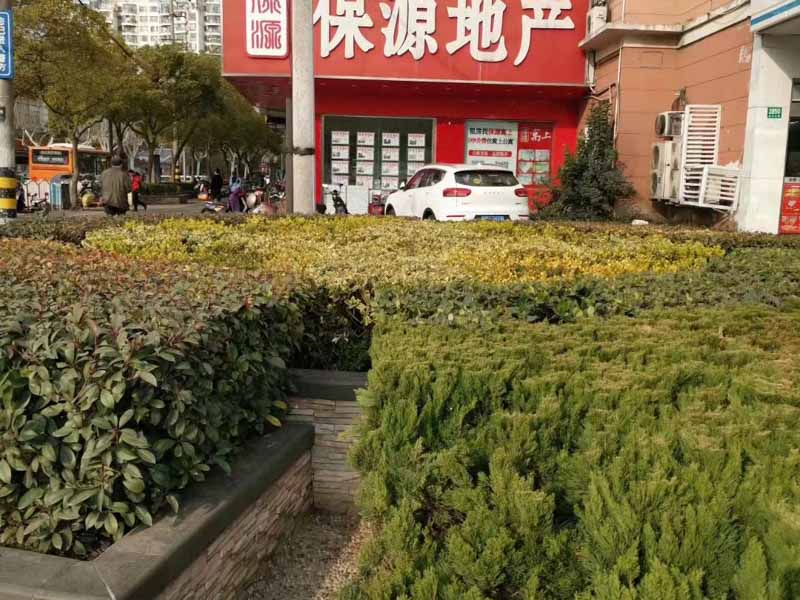 房屋糾紛排除妨害糾紛的法律分析及案例研究有哪些？深圳辯護律師來回答