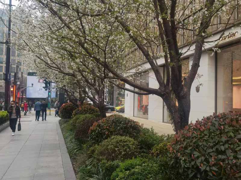勞動者未事先告知用人單位能否直接申請仲裁？深圳法律咨詢網(wǎng)來回答