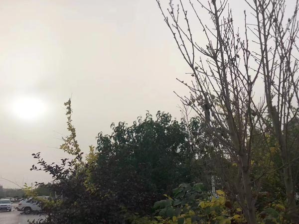 股權(quán)轉(zhuǎn)讓發(fā)生糾紛的情況下管轄法院如何確定？深圳靠譜的律師來回答