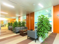 深圳市請企業(yè)法律顧問的獎(jiǎng)勵(lì)與處罰